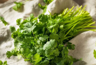 原来世界上有那么多人不吃“香菜”……