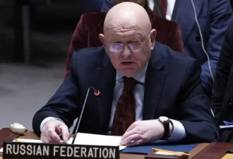 俄驻联合国大使：我是乌克兰人.....