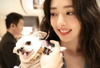 向华强夫妇把百亿遗产全交给郭碧婷！向佑抗议不公平