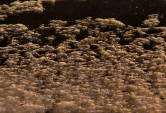 北京下雪了，一波雪景图送给早起的你....