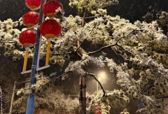 北京下雪了，一波雪景图送给早起的你....