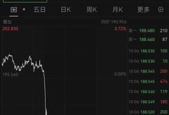 英伟达直线跳水，中概股重挫，白银、油价也在跌