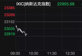 英伟达直线跳水，中概股重挫，白银、油价也在跌