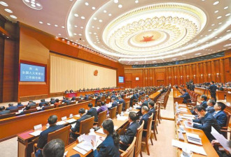 一口气罢免19名人大代表 其中包括3位上将