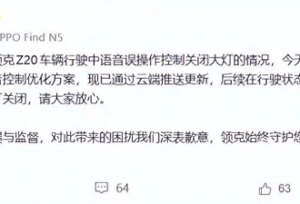 领克凌晨高速上语音识别出错，关闭所有灯光撞上护栏