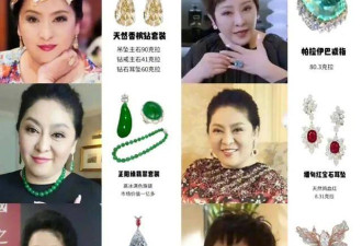 被父母拉黑的“百亿少爷”向佑，早已断了财路