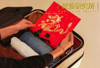 这届年轻人：不回家过年，是对自己的“犒赏”