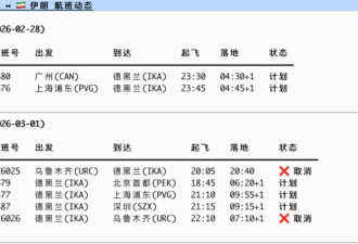 中国到中东多航班取消 大马士革飞上海涨至382万