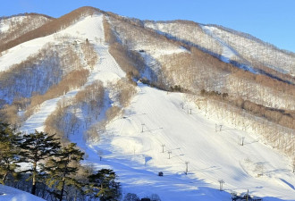 高原滑雪场雪崩“活埋台湾夫妻”