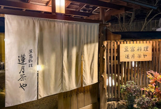 【精游日本】在京都借得莲月一盏灯与豆腐共春雪