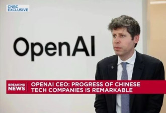 中国AI芯片自给率暴涨背后，藏着你不知道的变量