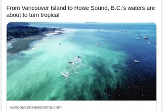 惊艳太空！BC省海水变"热带蓝"，这场自然盛事太美了
