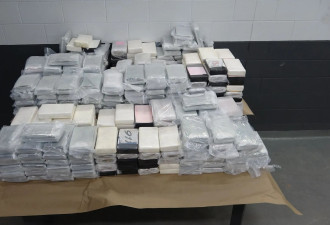 多伦多查获325公斤、价值700万元可卡因，嫌犯仅17岁