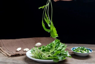 吃荠菜也有禁忌 二者万不可同食