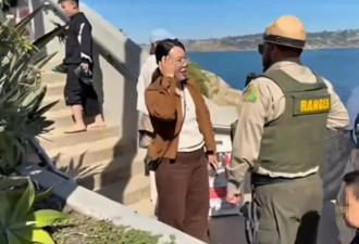 中国游客向海狮投掷石块被驱离 事件发酵引热议！