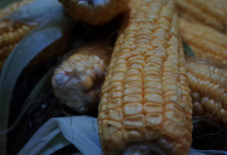 医生提醒不想尿酸飙升 建议多吃这5物
