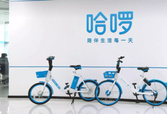 30岁已成“职场高龄”？哈啰的招聘红线，刺痛了谁