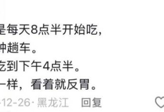 300只虎积食呕吐 明星动物被热情游客投喂成工伤