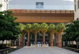 战火下的面试：一群中国学霸被困阿布扎比