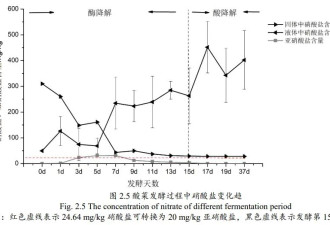 腌制咸菜致癌！为何韩国泡菜“独善其身”？
