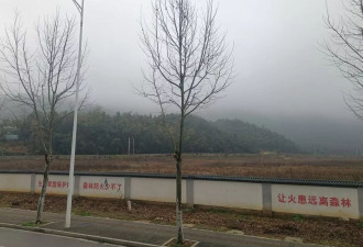 长沙一网红野爬山地发现响尾蛇？专家回复来了！