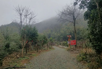 长沙一网红野爬山地发现响尾蛇？专家回复来了！