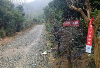 长沙一网红野爬山地发现响尾蛇？专家回复来了！