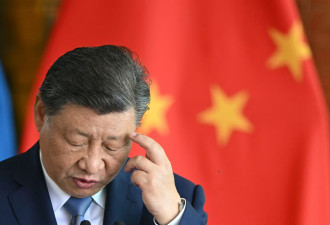 这下赔惨了，希望包子亲自要账