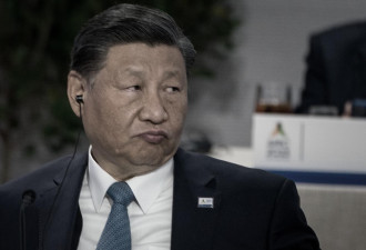 习哀嚎：你们为何屡次误我？