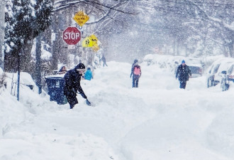 多伦多要给钱让居民铲雪！市长提议推出“付费清雪”计划