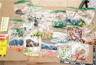 加拿大牙医因“在家”制造非法药物，百万豪宅被没收