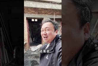 句句不提人，句句不离人 UP主辛辣讽刺“小粉红”