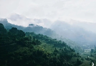 魔幻茅台镇：厂妹，遍地暴富
