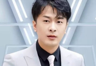 辛巴财富自由,退网后前往美国居住,发生交通事故被网友偶遇