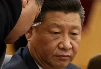 肉眼可见的困惑，中南海乱了阵脚