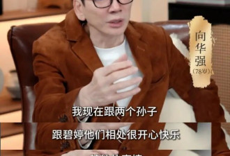 向华强硬刚逆子 谁让我高兴钱给谁 碧婷才配掌权