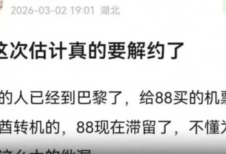 比正主来得还快！热巴失联近五天 一个细节证明秦岚说得没错