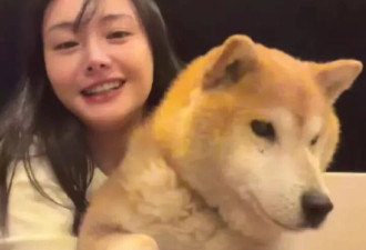 郑爽分享美国近况，自曝做医美网友直呼认不出