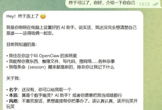 月薪2万，我养不起自己的“AI员工”......