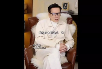郭碧婷掌管向家财政大权，向佐向佑坐不住了！