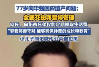 郭碧婷掌管向家财政大权，向佐向佑坐不住了！