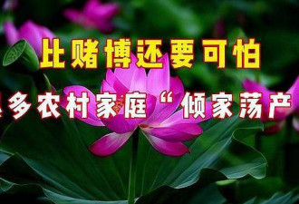 比赌博还可怕的东西，正悄悄毁掉中国无数家庭