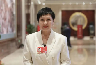 张凯丽委员：禁止未成年用网的封堵式保护不可取