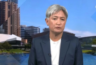 澳外长：已收到海湾国家的军事援助请求,正考虑