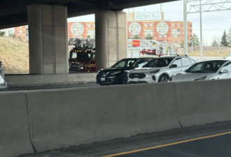 网友爆料：401高速公路东行全部堵死，原来是有人要跳桥