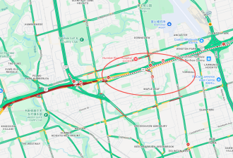网友爆料：401高速公路东行全部堵死，原来是有人要跳桥