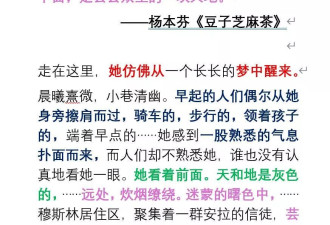 杨本芬被曝抄袭背后，一个"普通读者"掀起的鉴抄风暴