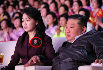 金正恩之女地位倍受关注 佩戴奢靡定制胸针