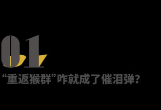 世界大乱，但我们还会为一只小猴哭泣