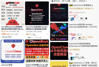 我花499找人安装OpenClaw，看到了最魔幻一幕